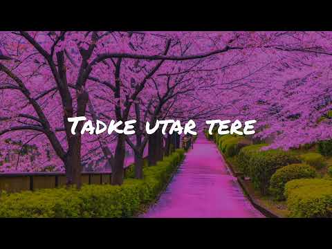 Kut Kut Bajra | Neha Bhasin