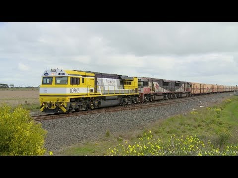 1800 Metre Long SCT PM9 Freight Train - PoathTV Australian Railways