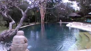 preview picture of video 'Hotel mimpi menjangan, main pool'