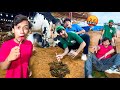 24 PRANKS ON MUNNA IN COW MANDI MISHKAT KHAN VLOG