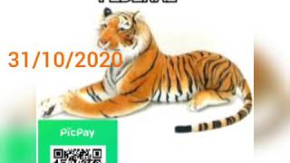 resultado do jogo do bicho federal 04/11/2020