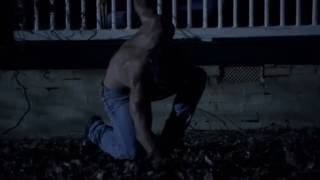 Teen Wolf/Animal I Have Become - Three Days Grace