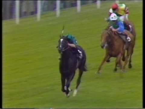 1991 Coventry Stakes