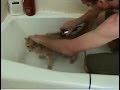 Shaving My Pussy Vlog