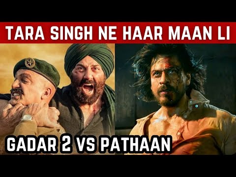 Gadar 2 Vs Pathaan Box Office Collection | Gadar 2 Vs Pathaan | Gadar 2 Box Office Collection