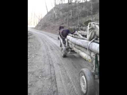 Ivan starchiojd partea 5