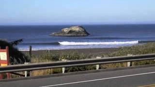 TR: INDIAN SUMMER SURF SHORTS - OREGON