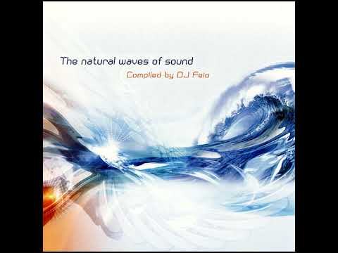 VA - Natural Waves of Sound by: Feio - 2003