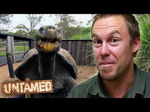 Top 5 Most Unbelievable Wildlife Encounters! | Untamed