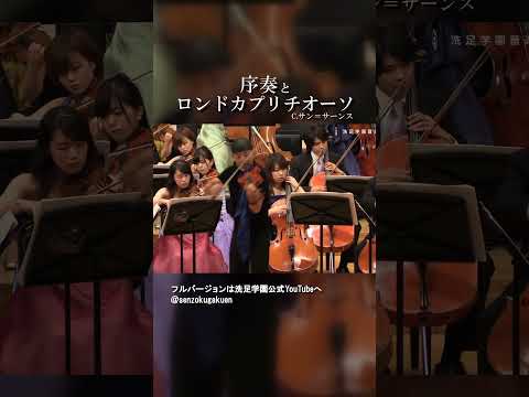 序奏とロンドカプリチオーソ 作品28