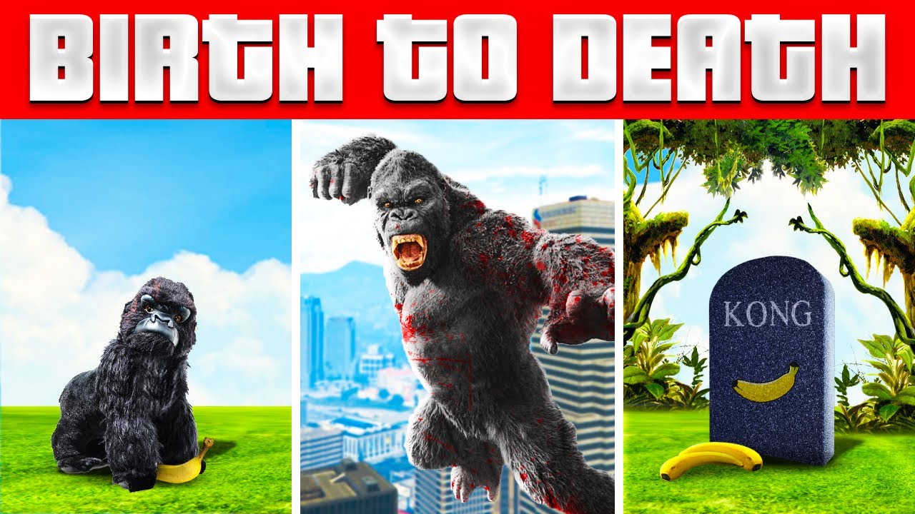 BIRTH To DEATH Of KING KONG In GTA 5! (GTA 5 RP Mods Challenge)