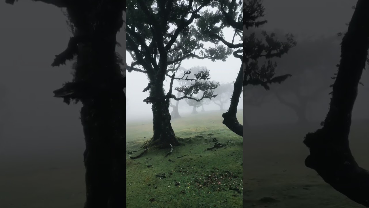 YouTube Short thumbnail