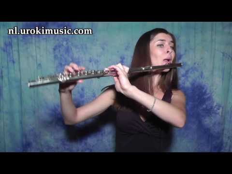 Fluit Leren Spelen PULCINO PIO - Il Pulcino Pio Cover Fluitles Studie Klasse Muzieknoten Bladmuziek