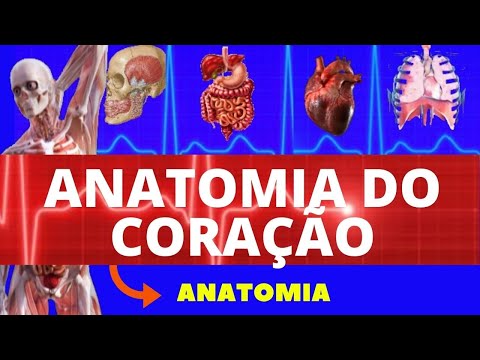 ANATOMIA DO CORAÇÃO (LOCALIZAÇÃO, CAMADAS, VALVAS, CORONÁRIAS E INERVAÇÃO) - SISTEMA CARDIOVASCULAR