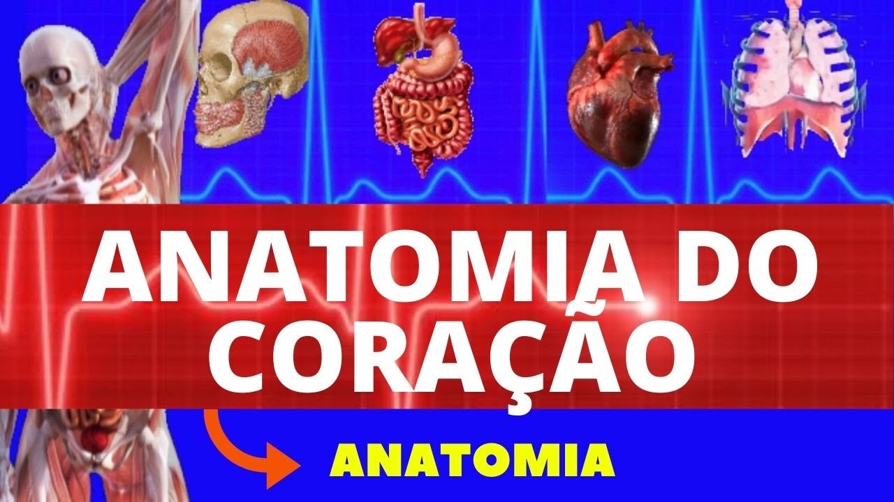 ANATOMIA DO CORAÇÃO (LOCALIZAÇÃO, CAMADAS, VALVAS, CORONÁRIAS E INERVAÇÃO) - SISTEMA CARDIOVASCULAR