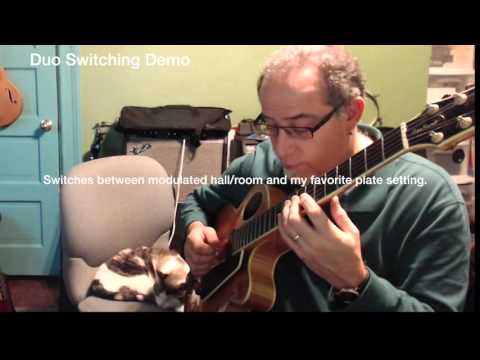 Ken Karsh - Strymon Blue Sky Reverb Demo