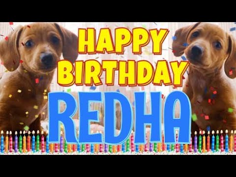 Happy Birthday Redha! ( Funny Talking Dogs ) What Is Free On My Birthday
