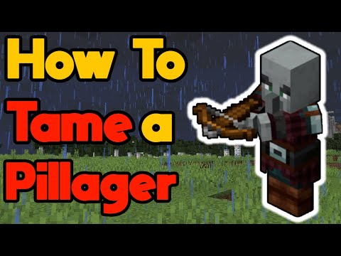 How to Tame a Pillager in Minecraft Tutorial #Shorts