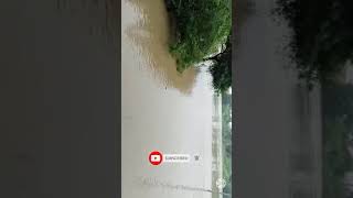 Bansi mein badh a Gaya 😬#shorts