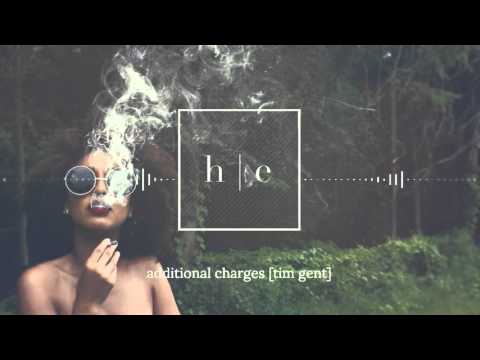 Tim Gent - Additional Charges