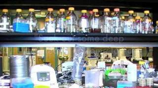 What makes a good scientist?