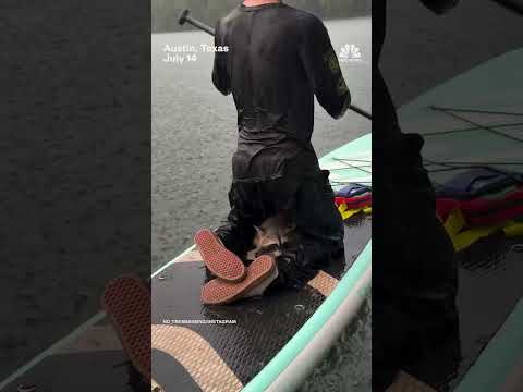 Paddleboarders rescue raccoon from Texas lake