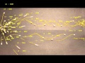 Multi ICP Demonstration
