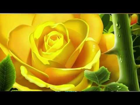 Deepti's Birthday celebration