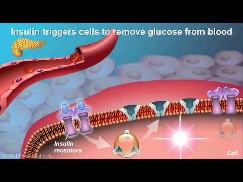 A glükofág típusú diabetes mellitus kezelése