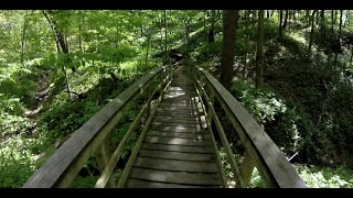 Dorrance Park MTB Trail