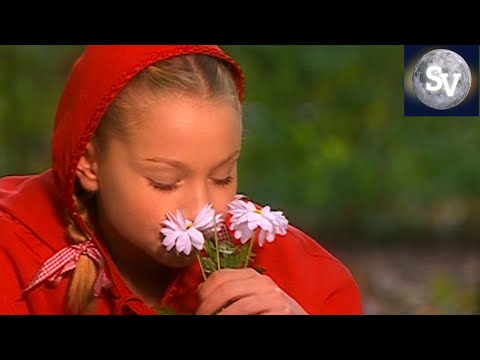 Sprookjes TV Serie | Roodkapje | Sprookjesverhalen