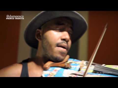 Prince - Purple Rain (Damien Escobar Violin Cover)