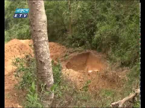 লাউয়াছড়া উদ্যানে টেলিটক টাওয়ার |