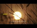 Va Endru Sollum Munne Song Status Tamil Status
