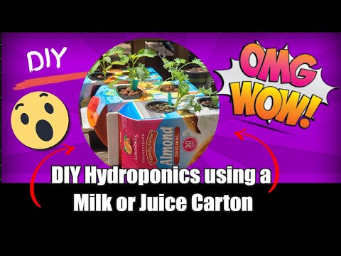 DIY Hydroponics using a Milk or Juice Carton