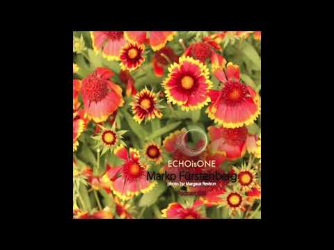 Marko Fuerstenberg - ECHOisONE Podcast Series #26 [Dub Techno Mix]