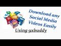 Any social media videos Download very easy || 9xbuddy