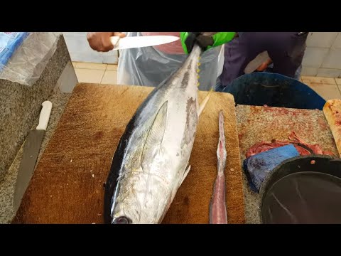 download lagu mp3 mp4 Freshwater Fish Fillets For Sale, download lagu Freshwater Fish Fillets For Sale gratis, unduh video klip Freshwater Fish Fillets For Sale