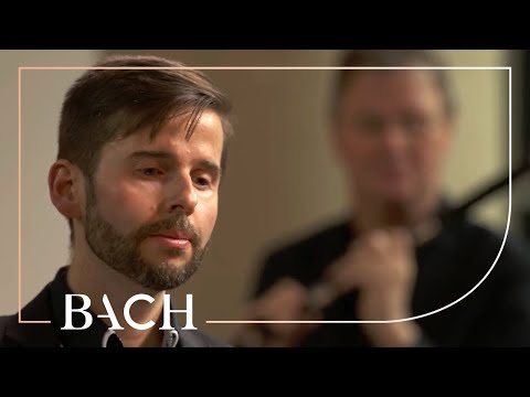Bach - Cantata Jesu, der du meine Seele BWV 78 - Van Veldhoven | Netherlands Bach Society