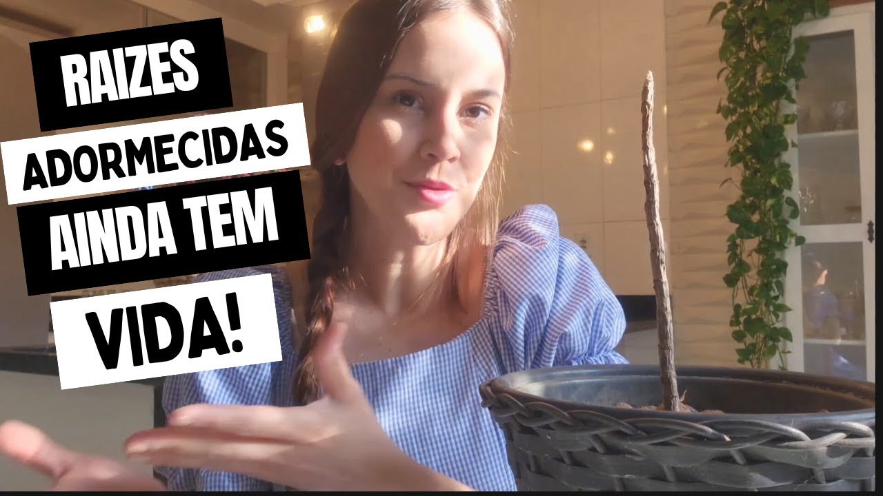 VOCÊ PEDIU UMA RESPOSTA PARA DEUS HOJE!