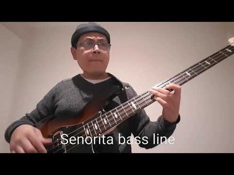 "Senorita" Shawn Mendes & Camila Cabello ( bass tutorial by Bernardo Soler )