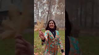 You need to add Autum in Kashmir to your bucket list! November travel ideas 🇮🇳