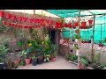 Garden Overview Of November 2018 Plants Ki Update