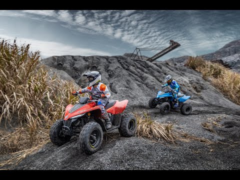 CFMOTO CFORCE 110 110cc, atv / quad
