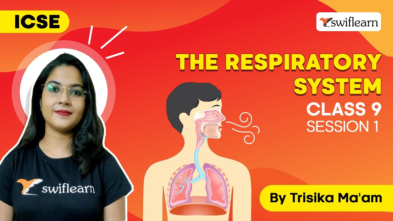 The Respiratory System | Mechanism of Respiration | ICSE Class 9 Biology🔴 | Session 1 - Swiflearn