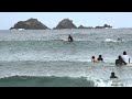 Spectacular Dolphin Surfing at Byron Bay 