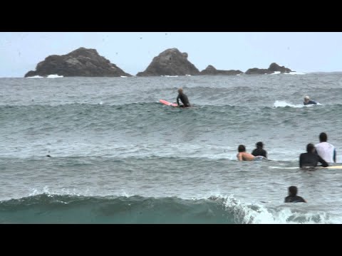 Surfeando olas junto a los delfines hqdefault - Surfeando olas junto a los delfines