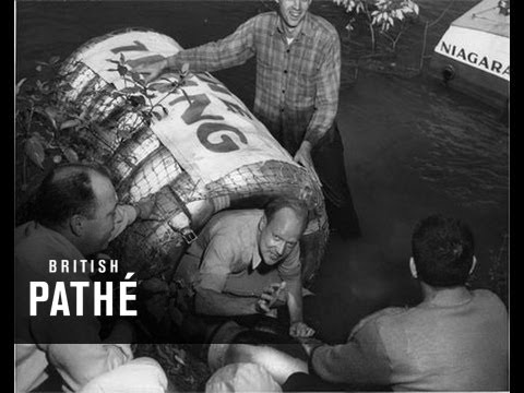 Trip over Niagara Falls in Barrel (1951)