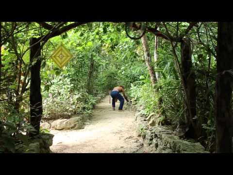 download lagu mp3 mp4 Navajo Peyote Ceremony, download lagu Navajo Peyote Ceremony gratis, unduh video klip Download Navajo Peyote Ceremony Mp3 dan Mp4 Full Gratis