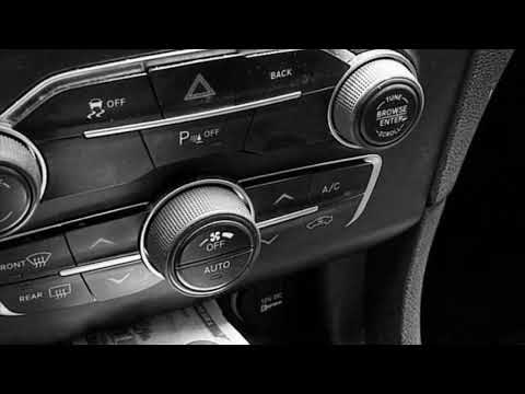 Draybo - youngest shit talker